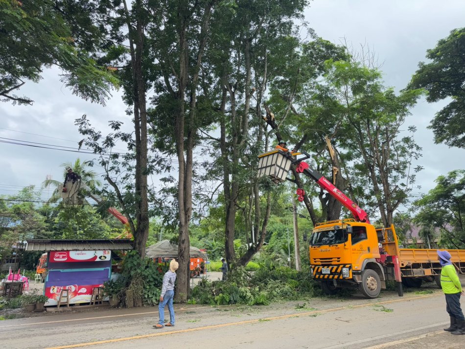  อบต.วังบาล ร่วมกับหน่วยงานที่เกี่ยวข้อง ตัดแต่งกิ่งไม้สี่แยกไฟจราจรบ้านวังบาล